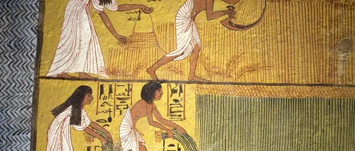 Ești stresat din cauza TAXELOR? Egiptenii antici sunt cei care le-au inventat din anul 3000 î.Hr.