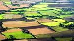 Cu cât se vinde un hectar de teren în România, în 2025