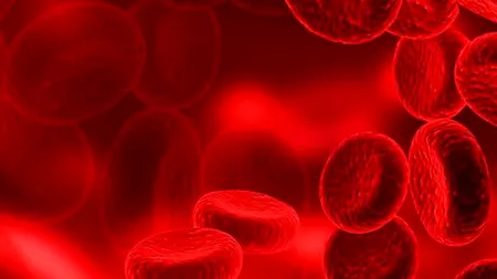 Cercetătorii vor crea ''supersângele'', care va putea trata unele boli până acum incurabile