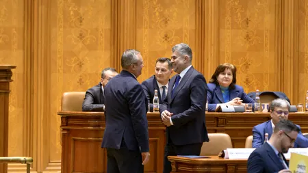 Proiect de țară: calendar pentru toate rundele de alegeri / Gabriel Zetea: PSD e pregătit pentru tot anul electoral
