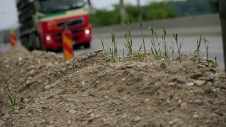 CNAIR a reziliat contractul pentru modernizarea Sectorului dintre A1 și DN 7, al Centurii București