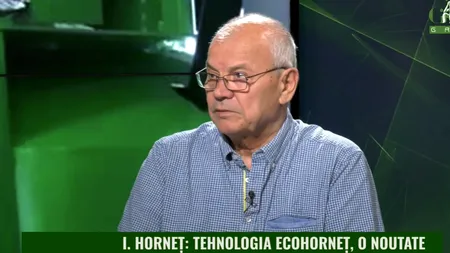 VIDEO Tehnologia ecoHorneț, apreciată de străini, ocolită în țara noastră. Antreprenorul Iuliean Horneț, la Gândul Green: 