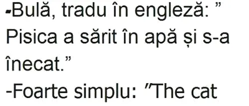 BANC | „Bulă, tradu în limba engleză: Pisica a sărit în apă și s-a înecat