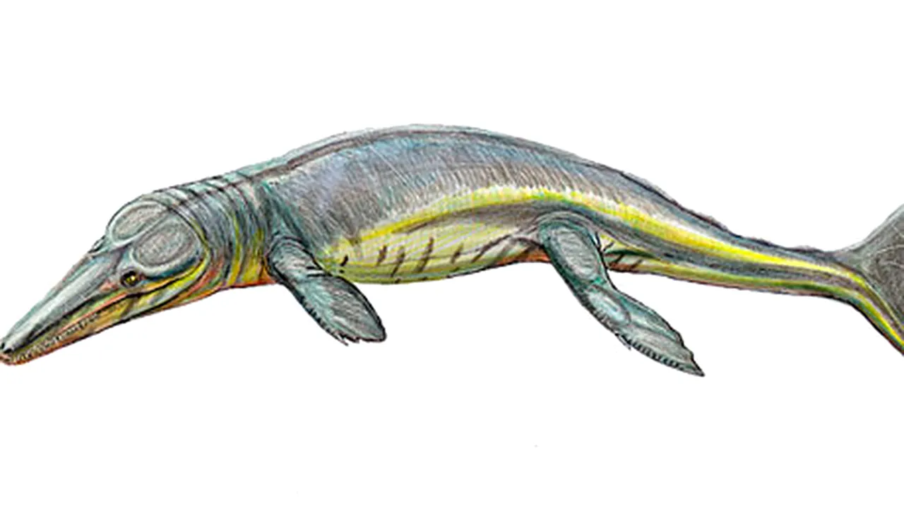 Creatură marină, descoperită în urma analizei unor fosile păstrate 100 de ani într-un muzeu