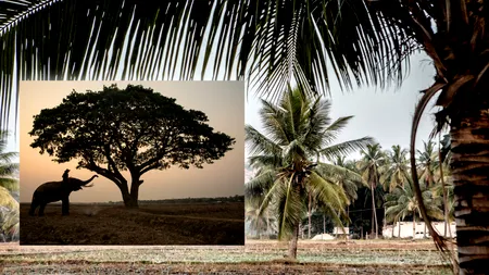 Concediu de coșmar pentru un turist, în India. Cum a ajuns la un pas de moarte din cauza unui selfie. S-a ales și cu amendă