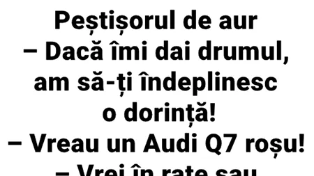 BANC | Bulă prinde peștișorul de aur: „Dacă îmi dai drumul, am să-ți îndeplinesc o dorință!