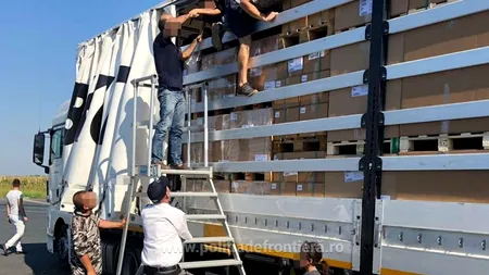 42 de migranți, între care 16 copii, ascunși într-un camion, prinși la Vama Nădlac