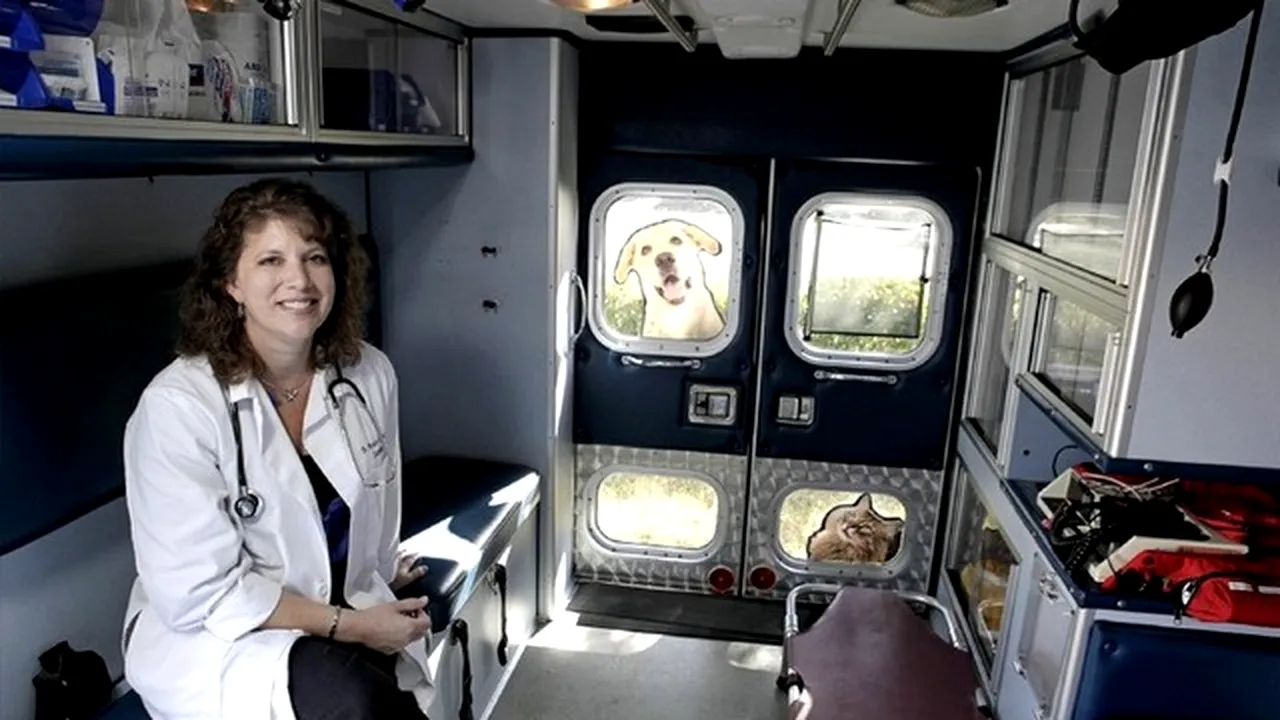 Ambulanță pentru animalele de companie. Cât sunt dispuși să plătească stăpânii pentru o vizită medicală la domiciliu 