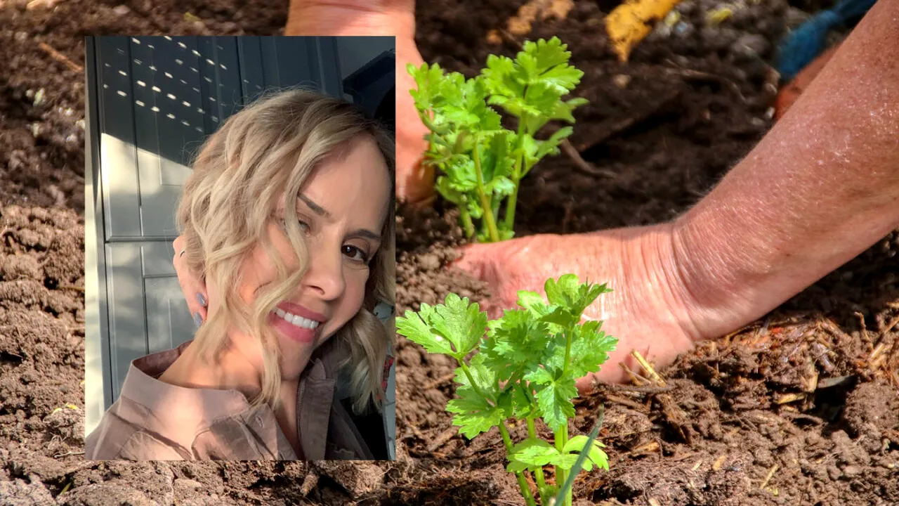 Mihaela Bilic spune ADEVĂRUL despre produsele bio. Lucrurile neștiute despre alimentele consumate de tot mulți oameni