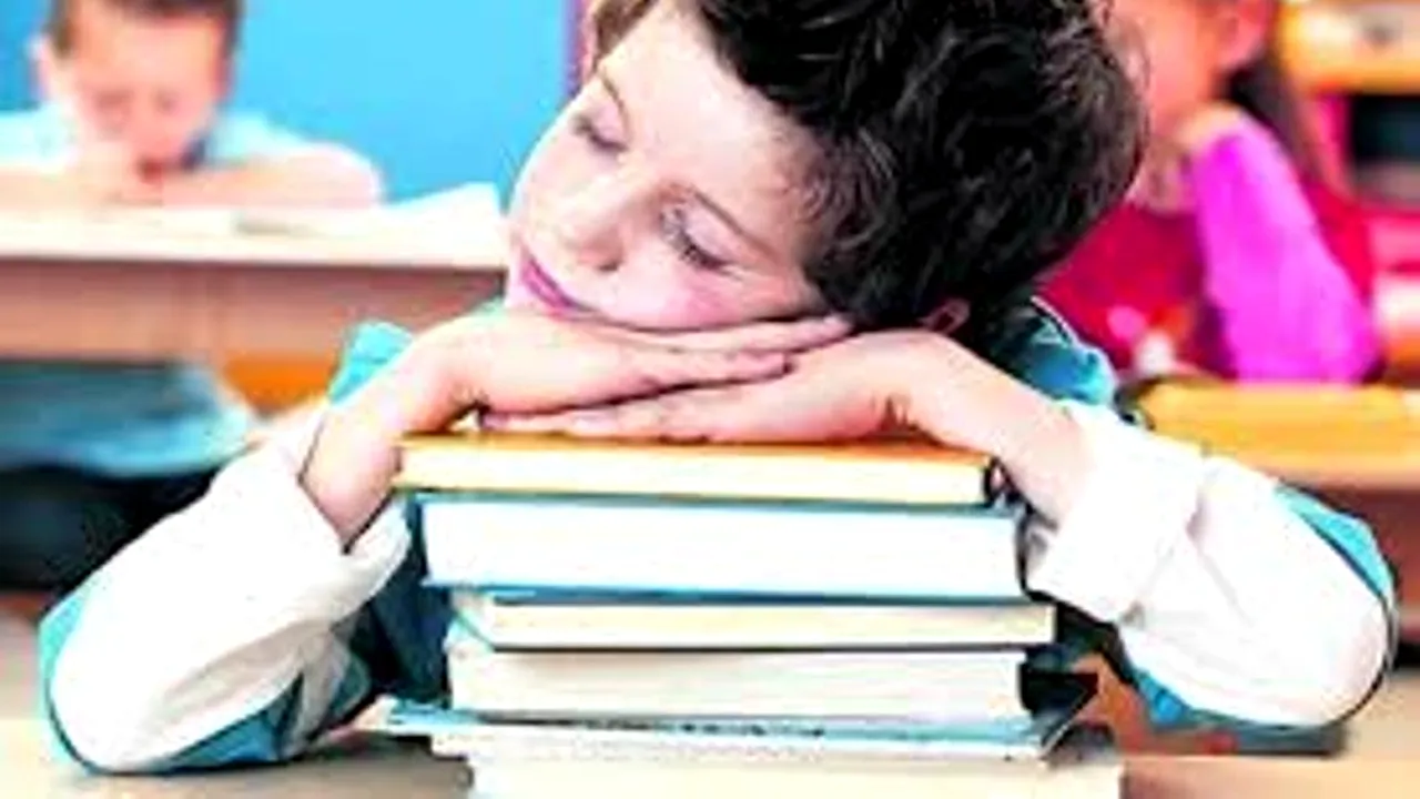Scrisoarea unei mame disperate de sistemul de educație către Remus Pricopie