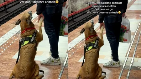 Un cățel a fost filmat în timp ce își ținea de mână stăpânul, în așteptarea metroului din București, iar imaginile au devenit virale