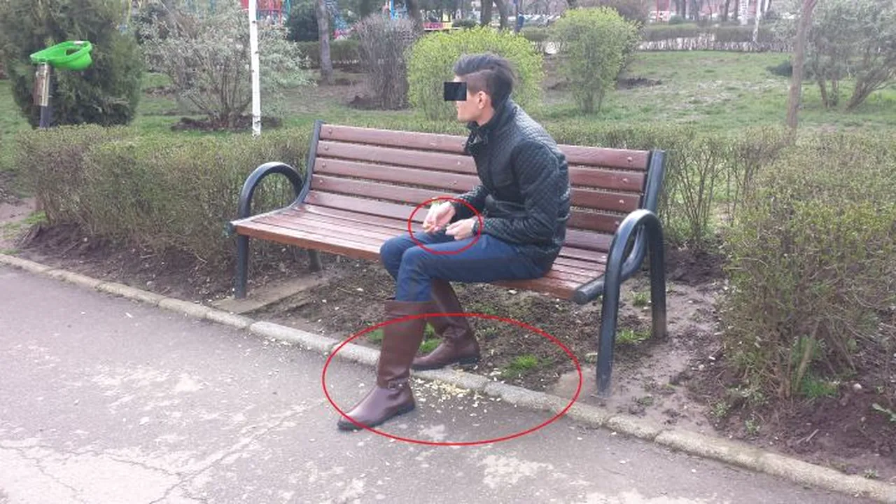 Prețul nesimțirii: Student din Sebeș, amendat cu 1.000 de lei după ce a scuipat pe jos coji de semințe