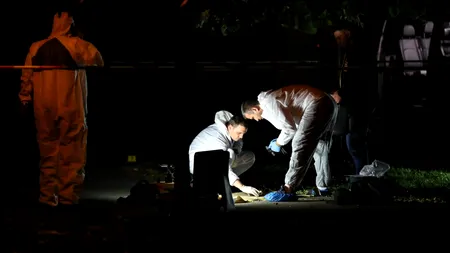 Concluzie șocantă a polițiștilor care investigau moartea unui bărbat despre care credeau că a fost mâncat de câini. Anchetatorii au descins în forță peste șoferii turci din Vama Giurgiu