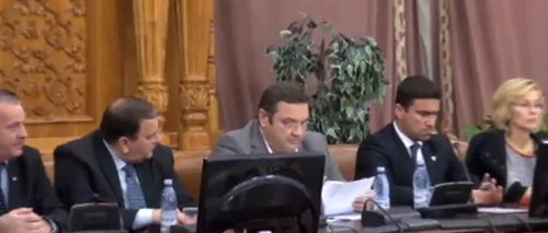 Ședința comisiilor juridice din Parlamentul României. Atenție! S-ar putea să vă afecteze emoțional