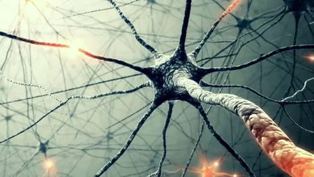 Primul oraș din România în care se va 