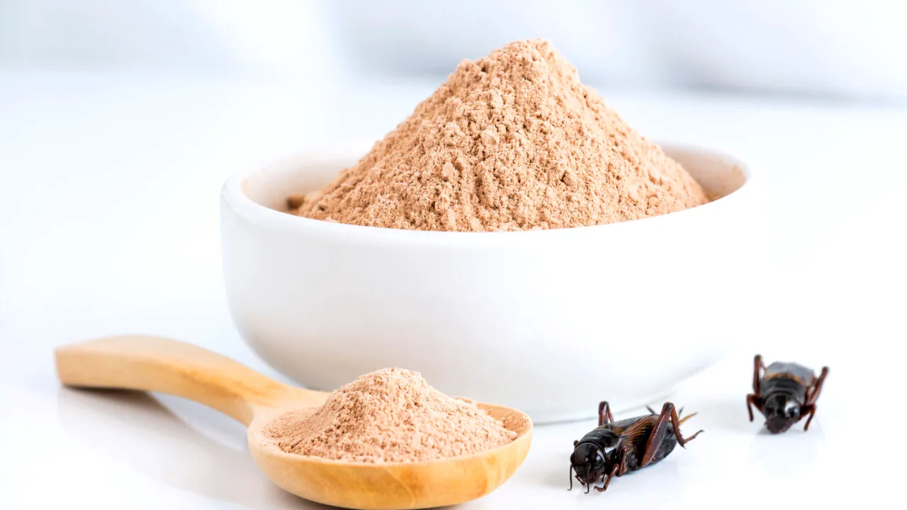 Făina de greieri a apărut și pe rafturile magazinelor din România. Cât costă 100 de grame