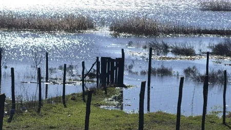 Localitățile de pe malul Dunării, în alertă de inundații. Record doborât după un deceniu pentru cotele fluviului care traversează 7 țări europene