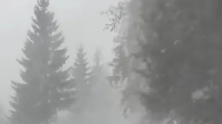 „Iarna autentică”. Cât durează valul de ninsori, viscol și polei în România