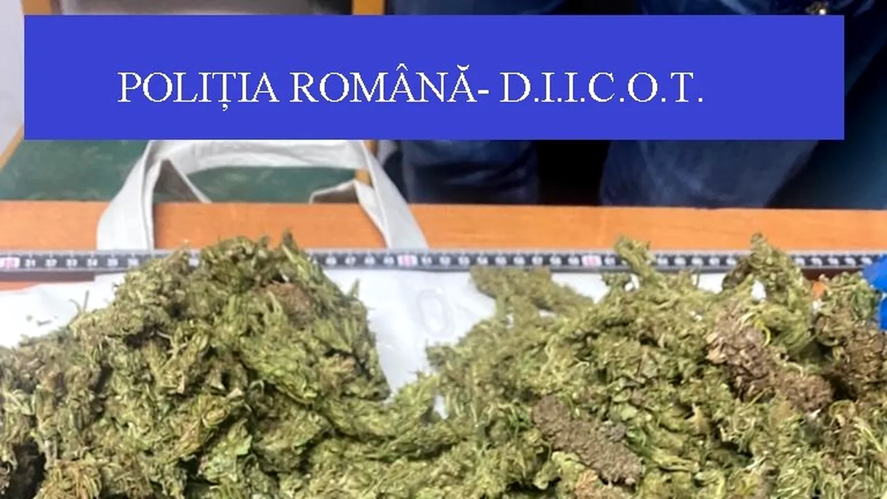 Doi bărbați au fost arestați preventiv după ce au fost prinși în flagrant când voiau să vândă 2,5 kilograme de muguri de cannabis. Câte droguri se consumă în România