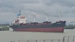 Dunărea aproape blocată în dreptul orașului Tulcea, după ce un cargo a lovit un ponton și a fost la un pas să se izbească de faleză. Imagini cu momentul impactului