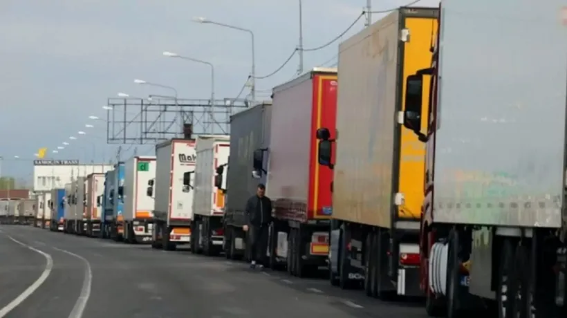 GIURGIU. Un ucrainean a ascuns ȚIGĂRI de contrabandă în valoare de 3 milioane de lei într-un camion cu varză