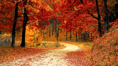 De la căldură de vară la răcoare de toamnă. ANM a dat prognoza meteo pentru intervalul 23 septembrie - 6 octombrie