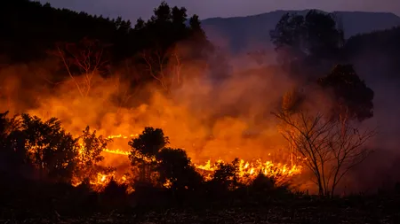 Un român a murit în INCENDIILE de vegetație din Spania. Unde se afla când a fost cuprins de flăcări
