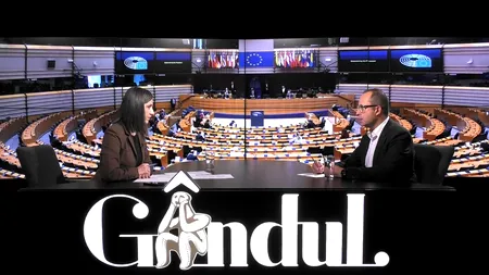 EXCLUSIV VIDEO | Cristian Bușoi: „Bucureștiul pare un oraș abandonat și Nicușor Dan nu pare că are soluții. Nu poți să ceri respect când lași copiii să se joace printre gunoaie și șobolani”