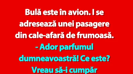 BANC | Bulă și pasagera frumoasă din avion