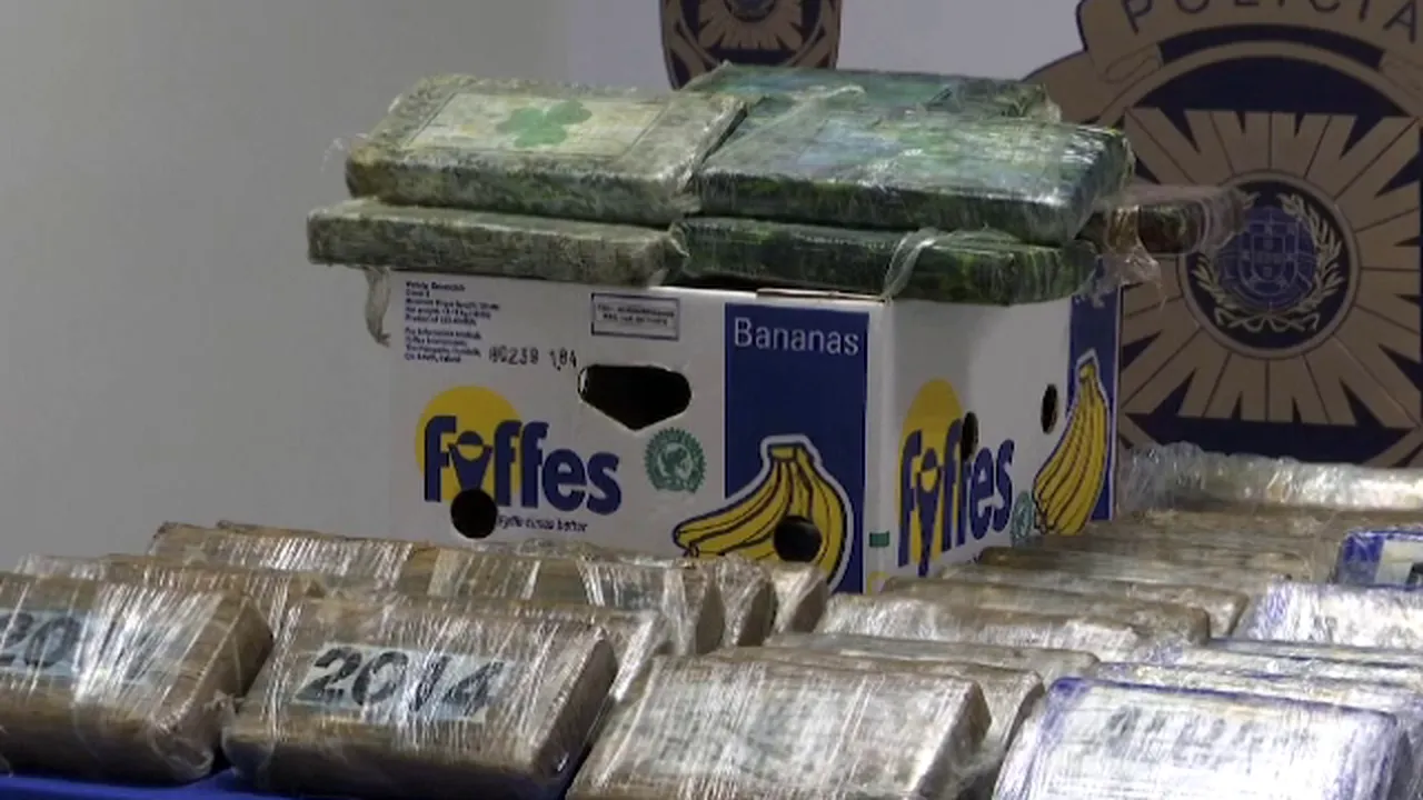 Tone de droguri, ascunse printre banane, cu destinația Belgia