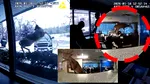 Un cerb a „spart” o bancă din New York. A fost declanșată alarma, iar momentul a fost surprins video