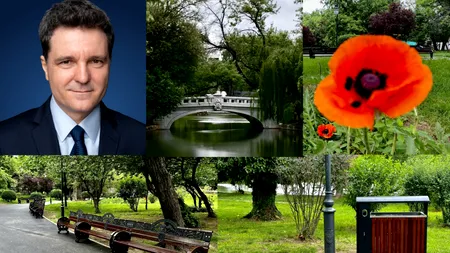 GÂNDUL l-a pus pe Nicușor Dan la treabă. Cum s-a mobilizat primarul Capitalei după apariția unui articol despre starea deplorabilă a parcului Cișmigiu