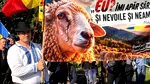 Ministerul Afacerilor Interne avertizează: Fermierii sunt instigați la proteste de amploare. Instituția asigură că principalele cerințe au fost soluționate