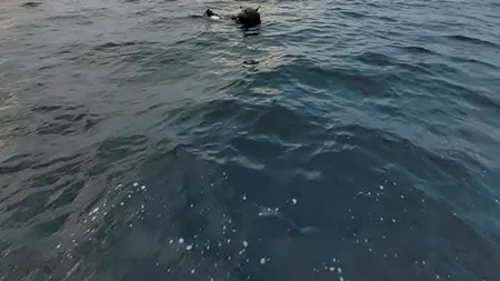 Minele în derivă din Marea Neagră încaieră Ambasada Rusiei și MApN. Rușii arată cu degetul spre Ucraina