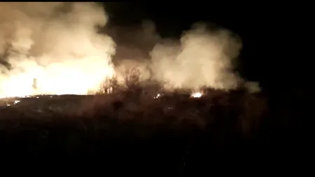Incendiu puternic de vegetație în județul Argeș | VIDEO