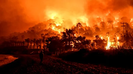 INCENDIILE de vegetație și zonele prioritare de conservare a naturii în Europa