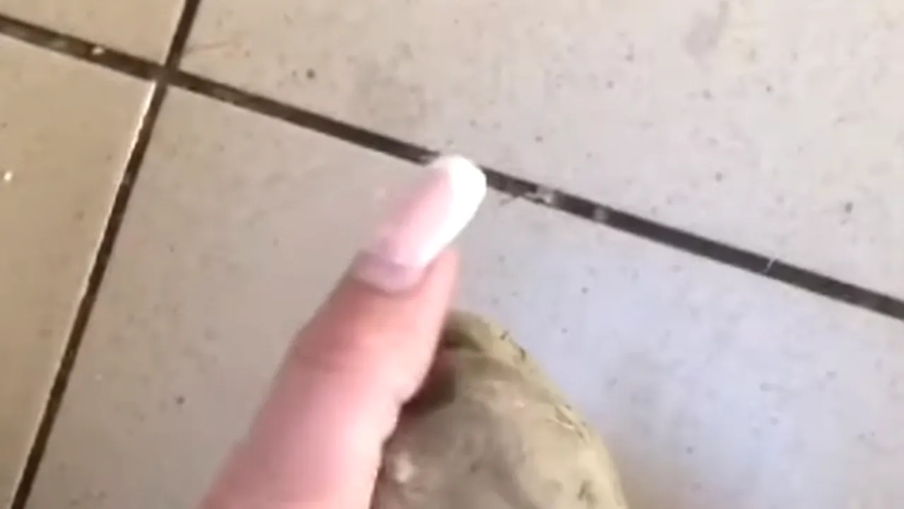 Cojile de cartofi pot face MINUNI în bucătărie. Câteva trucuri utile care le transformă în ingrediente universale de curățenie