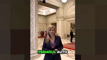 Silvia Mihalcea (PSD): De astăzi, permisul de conducere se va obţine mai uşor pentru anumite categorii / LEGEA merge la promulgare