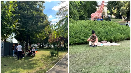 Majoritatea ciobanilor au părăsit Piața Victoriei, după un protest care a durat peste 24 de ore. Un singur oier a mai rămas în grădina Muzeului Antipa
