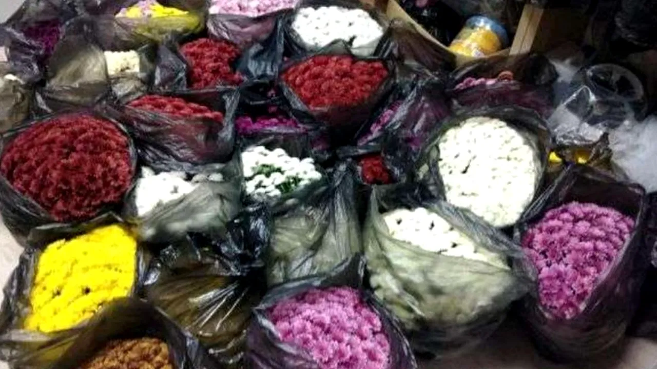 Bărbat prins de polițiști, chiar după ce a furat peste 40 de ghivece cu crizanteme dintr-un cimitir din Cluj-Napoca