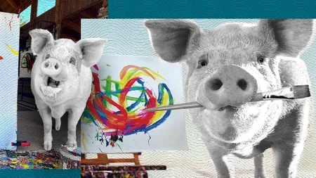 Pigcasso, porcul care a devenit celebru pentru PICTURILE sale, a murit