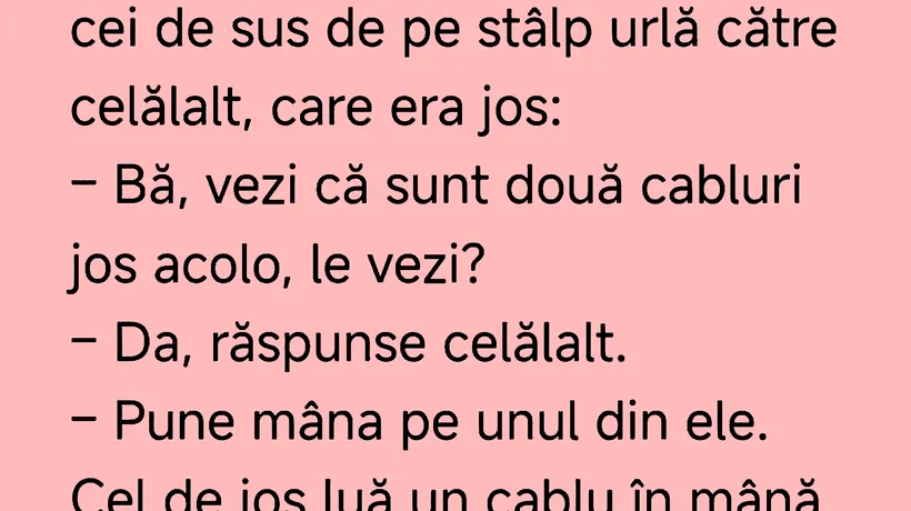 BANCUL ZILEI | Doi muncitori lucrau la un stâlp de înaltă tensiune