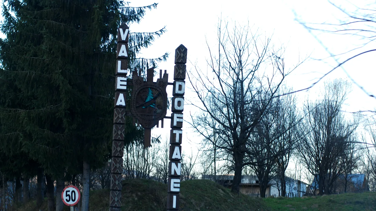 ''Școala Altfel'': elevi din București, pierduți într-o pădure