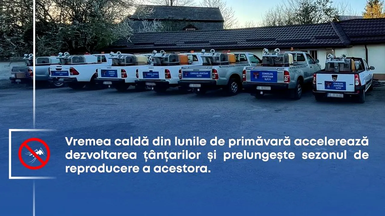 Sănătatea comunității, igiena publică și conservarea spațiilor verzi, în atenția Consiliului Județean Ilfov (P)