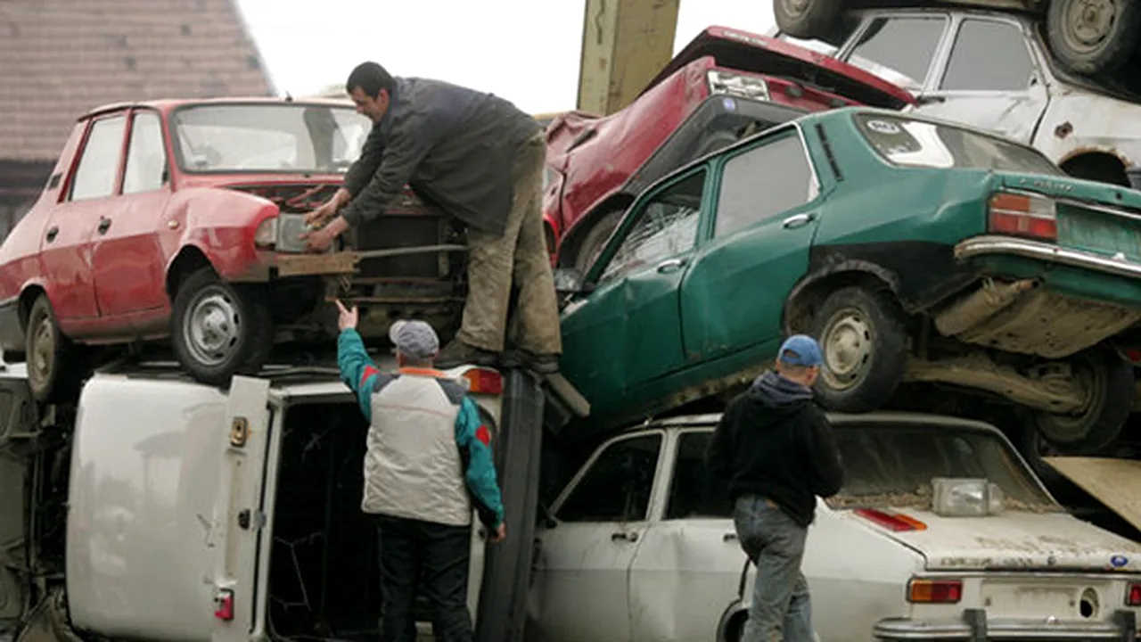 Noutățile din Programul 