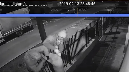 Culmea tupeului: Cum SE FURĂ un pui de LABRADOR în România chiar din curtea proprietarului