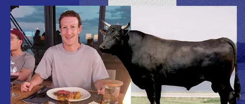 Fondatorul Facebook, Mark Zuckerberg, investiție neașteptată: „Am început să cresc VACI. Din toate proiectele mele, acesta este cel mai delicios”