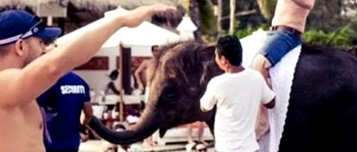 Imaginile rușinii: un elefant, chinuit de mai mulți petrecăreți din Thailanda