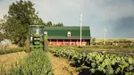Avertismentul FERMIERILOR. Eliminarea taxării inverse ar aduce un nou val de scumpiri