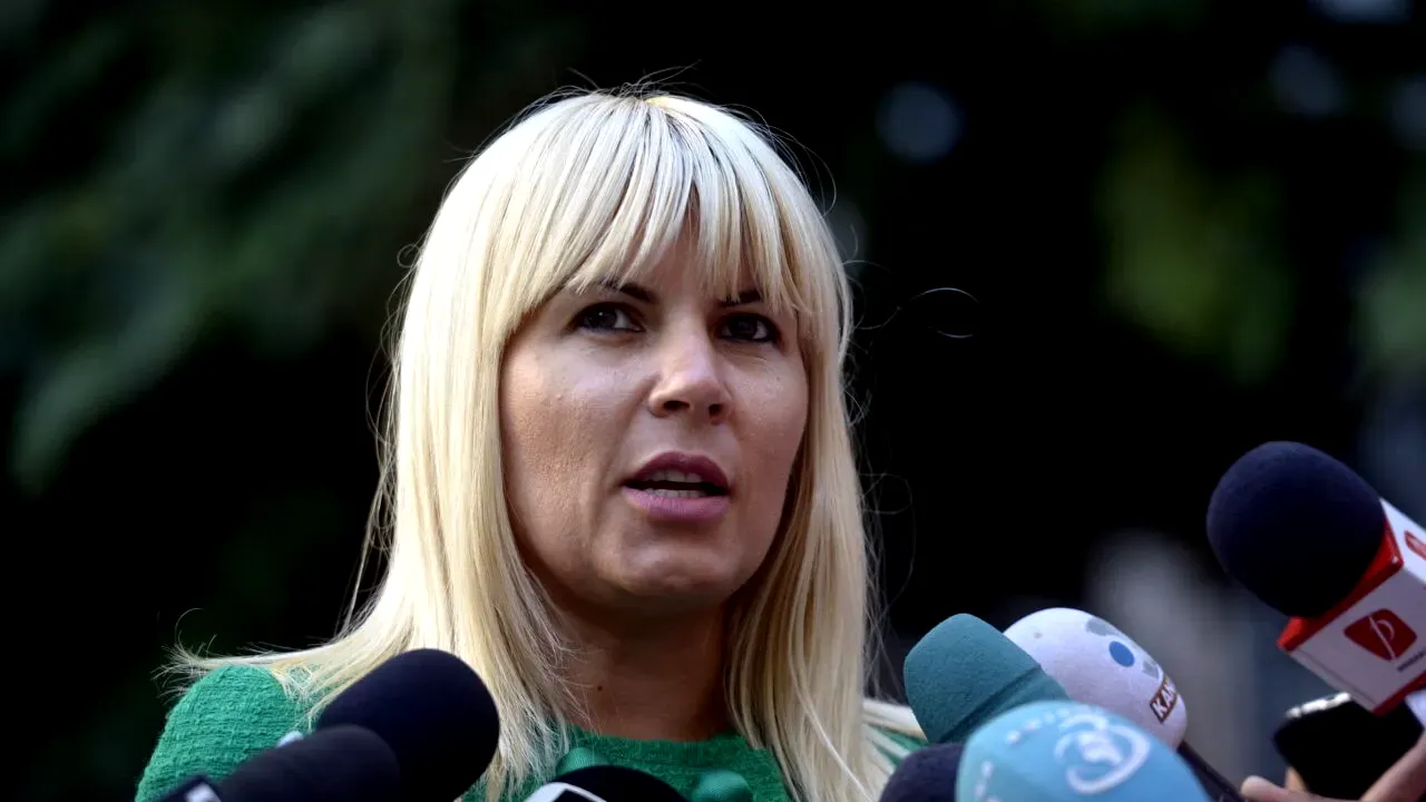Elena Udrea îi numește ipocriți pe liberalii și useriștii care s-au solidarizat cu Bolojan în ziua audierii la DNA